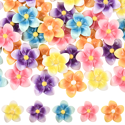 (52) Непрозрачная лаванда 50шт 5 цветные кабошоны из непрозрачной смолы, плюмерия, два тона, разноцветные, 30x32x11.5 мм, 10 шт / цвет