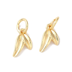 Настоящее золото 14K Долговечные латунные чары, с прыжковых колец, лист, реальный 14 k позолоченный, 11.8x6.6x1.8 мм, отверстие : 3.8 мм