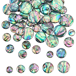Colorful 16Pcs 4 Styles Natural Paua Shell Cabochons, Flat Round, with Enamel, Colorful, 10~18x2~3.5mm, 4pcs/style