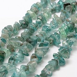 Apatite Perles naturelles apatite brins, polir, nuggets, 7~14x2~7x2.5~5mm, Trou: 1mm, 18.1 pouce (46 cm)