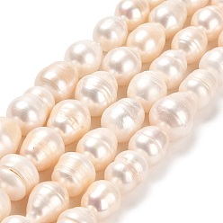 PapayaWhip Natural Cultured Freshwater Pearl Beads Strands, Rice, Grade A, PapayaWhip, 13.5~14.5x11~12mm, Hole: 0.6mm, about 25~27pcs/strand, 13.78~14.17''(35~36cm)