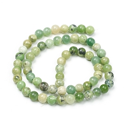 Serpentine Natural Serpentine Beads Strands, Round, 6mm, Hole: 1mm, about 63pcs/Strand, 14.96 inch(38cm)