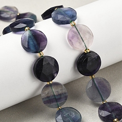 Флюорит Природных красочные флюорита бисер нитей, граненый шестиугольный разрез, плоско-круглые, с бисером, 15x5.5 мм, отверстие : 1 мм, около 22 шт / нитка, 15.31'' (38.9 см)