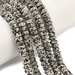 Далматинских Джаспер Природные яшмы далматин бисер нитей, шестиугольные бусины хейши, 6x7x3.5 мм, отверстие : 0.9 мм, около 108~109 шт / нитка, 14.96~15.04'' (38~38.2 см)