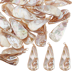 Морская Ракушка 20шт. подвески из натуральных пресноводных ракушек с гальваническим покрытием, подвески-слезинки с круглыми петлями из экологически чистой медной проволоки, золотые, цвет морской раковины, 42.5~49x14.5~17.5x8.5~11 мм, отверстие : 3 мм