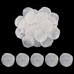 Морская Ракушка 60 шт. натуральные бусины из ракушек капиз, плоско-круглые, без отверстия , хорошо подходит для изготовления ракушек, искусство ракушек, абажуры и свечи, цвет морской раковины, 50~90 мм