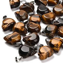 Тигровый глаз Природных тигровый глаз подвески, из нержавеющей стали с цветным покрытием 201 защелки из нержавеющей стали на дужках, череп, 18~18.5x9.5~10x20~21 мм, отверстие : 7.5x4.5 мм