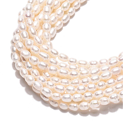 Ivoire 1 brins de perles de culture d'eau douce naturelles, riz, classe ab, blanc crème, 4~6x3.5~4mm, Trou: 0.6mm, Environ 73~75 pcs/chapelet, 13.78~14.17 pouce (35~36 cm)
