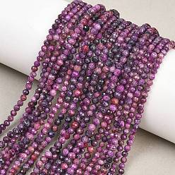 Sugilite Нити из нагретых натуральных бусин сугилита, круглые, граненые, 3x2.5 мм, отверстие : 0.6~0.7 мм, около 144~146 шт / нитка, 14.96~15.24'' (38~38.7 см)