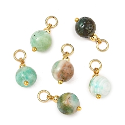 Doré  Pendentifs en jaspe vert naturel, breloques rondes avec 304 anneaux de jonction en acier inoxydable, or, 15x8.5mm, Trou: 3.5mm