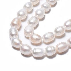 Seashell Color Natural Cultured Freshwater Pearl Beads Strands, Rice, Seashell Color, 8.5~13x7~8mm, Hole: 0.8mm, about 16~19pcs/strand, 7.05 inch~7.40 inch(17.9cm~18.8cm)