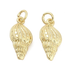 Настоящее золото 18K Латунные подвески, подвески в форме ракушек, долговечный, стойки покрытие, без свинца и без кадмия, ионное покрытие (ip), с целью перехода в кольце, реальный 18 k позолоченный, 19x9.5x6.5 мм