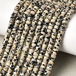 Далматинских Джаспер Нити из натуральных далматинских яшмовых бусин хейши, граненые, шайба, 4x2.5 мм, отверстие : 0.9 мм, около 151~155 шт / нитка, 14.57''~14.96'' (37~38 см)