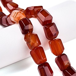 Red Agate Натуральный красный агат бисер нитей, граненые, самородки, 16~17x12~13.5x10.5~13 мм, отверстие : 1.2 мм, около 13 шт / нитка, 8.46~8.66 дюйм (21.5~22 см)