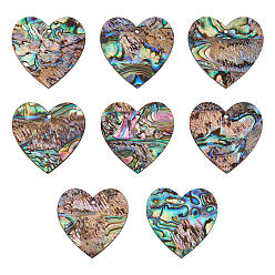 Сердце 8шт. подвески из натуральной ракушки пауа/ракушки абалона, cmолой назад, сердце, 30x30x2 мм, отверстие : 1.6 мм