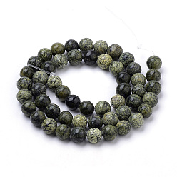 Serpentine Natural Serpentine/Green Lace Stone Beads Strands, Round, 8mm, Hole: 1mm, about 46~49pcs/strand, 14.5~15.3 inch