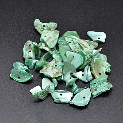 Средний Аквамарин Окрашенные натуральные ракушки, чипсы, бусины, средний аквамарин, 9~23x7~12 мм, отверстие : 1 мм, Около 1150 шт / 500 г