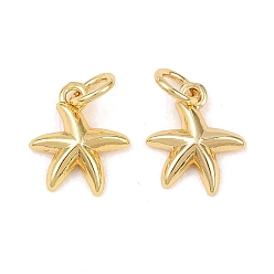 Морская звезда Латунь прелести, с целью перехода в кольце, морская тема, реальный 18 k позолоченный, морская звезда, 11x9.5x2 мм, отверстие : 3.5 мм