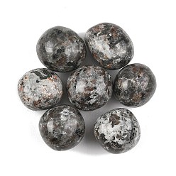 Syenite Бусины из натурального сиенита, обваленные камни, нет отверстий / незавершенного, самородки, 20~56x18~30.5x8~28 мм