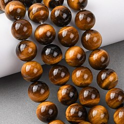 Тигровый глаз Природных тигровый глаз бисер нитей, круглые, класс А, 14 мм, отверстие : 1.4 мм, около 28 шт / нитка, 15.75'' (40 см)