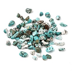 Synthetic Turquoise Synthetic Turquoise Beads, Dyed, Chip, No Hole/Undrilled, 8~25x8~12x8~12mm