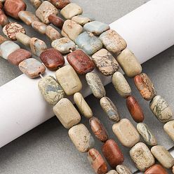 Аква Терра Яшма Натуральные бусины из аква терра яшмы, прямоугольные, 14x10~10.5x4.5~5 мм, отверстие : 0.8 мм, около 28 шт / нитка, 15.24~15.35 дюйм (38.7~39 см)
