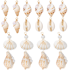 Морская Ракушка 20 шт. 5 стили подвесок из натуральных ракушек, подвески в форме ракушек из медной проволоки со стеклянными жемчужинами, золотые, цвет морской раковины, 25.5~41x12.5~31x9.5~19 мм, отверстие : 2~4.2 мм, 4 шт / стиль
