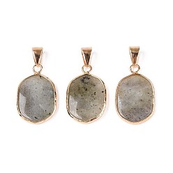 Лабрадорита Природные подвески лабрадорита, подвески с овальными камнями, с латунным краем и защелкивающимися дужками, золотые, 25~25.5x15.5~16.5x3~4 мм, отверстие : 7x4 мм