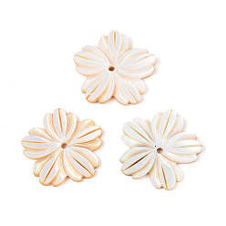 Морская Ракушка Резные подвески из натуральных желтых ракушек, , цвет морской раковины, 20.5x20.5x2 мм, отверстие : 1.4 мм