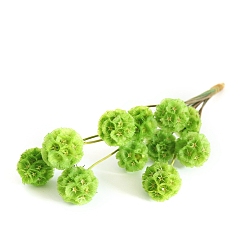 Зелено-Желтый Искусственный цветок, сухоцвет для украшения свадьбы, рождества, домашний декор своими руками, зеленый желтый, 200~300 мм, цвет: 25 mm в диаметре