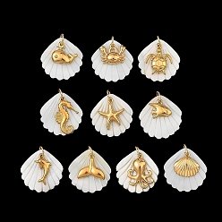 White Ocean Theme Natural Freshwater Shell & 304 Stainless Steel Pendants, Shell Shape with Marine Animal Charms, with 304 Stainless Steel Open Jump Rings, White, 22x22x2mm, Hole: 3mm, about 10pcs/set