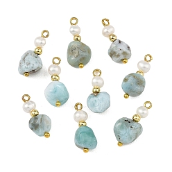 Золотой Натуральный Larimar подвески, подвески из бусин, украшенные натуральными культивированными пресноводными жемчужинами., золотые, 18~19x8~9x6~7 мм, отверстие : 1.5~1.8 мм