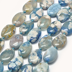 Light Sky Blue Natural Cherry Blossom Agate Beads Strands, Oval, Dyed, Light Sky Blue, 22~23x17x8~9mm, Hole: 1.5~2mm, about 18pcs/strand, 15.7 inch(40cm)