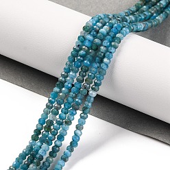 Apatite Perles naturelles apatite brins, facette, rondelle, 3x2mm, Trou: 0.8mm, Environ 175 pcs/chapelet
