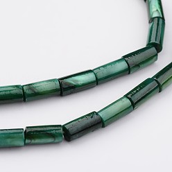 Dark Green Natural Shell Bead Strands, Dyed, Column, Dark Green, 8x4mm, Hole: 0.5mm, about 50pcs/strand, 15.7 inch