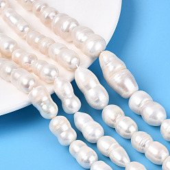 Кремово-белый Натуральный жемчуг в стиле барокко кеши, зарождающаяся жемчужина, желобчатый, число 8, кремово-белые, 12~31x8.5~16 мм, отверстие : 0.5 мм, около 16~24 шт / нитка, 14.57~16.34 дюйм (37~41.5 см)