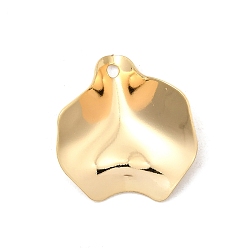 Настоящее золото 18K Латунь прелести, без никеля , лист, реальный 18 k позолоченный, 21.5x20x1 мм, отверстие : 1.6 мм