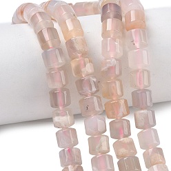 Вишневый агат Натуральные вишневые агатовые бусины, колонка, 8x8~8.5 мм, отверстие : 0.6~0.7 мм, около 50 шт / нитка, 15.87'' (40.3 см)