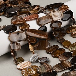 Деревянное Окаменение Природные окаменелое дерево бисер пряди, Плоско-овальные, Топ пробуренной, 7~27x8~21.5x4.5~6.5 мм, отверстие : 1 мм, около 28 шт / нитка, 16.34~16.54 дюйм (41.5~42 см)
