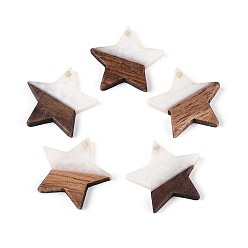 Белый Подвески из смолы и ореха, звезда, белые, 20.5x22~22.5x3.5 мм, отверстие : 1.5 мм