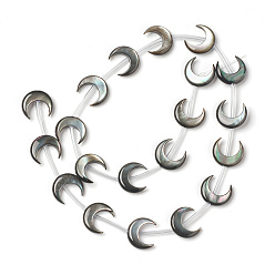 Черный Натуральные черные бусины из ракушек, рог, чёрные, 12x10.5x3 мм, отверстие : 0.8 мм, около 20 шт / нитка, 12.99'' (33 см)