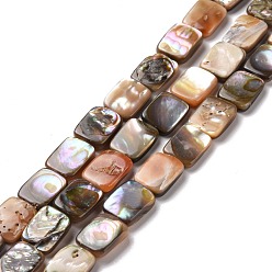 Paua Shell Natural Red Paua Shell Beads Strands, Cuboid, 8~8.5x10~10.5x2~3mm, Hole: 0.6mm, about 39pcs/strand, 15.47~15.79 inch(39.3~40.1cm)