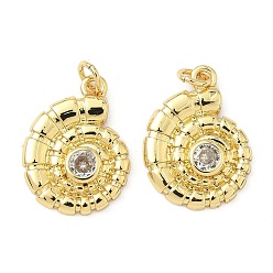 Настоящее золото 18K Латунные микро проложить кубического циркония подвески, форма раковины, долговечный, без кадмия и без свинца, стойки покрытие, с целью перехода в кольце, реальный 18 k позолоченный, 20.5x15.5x3 мм, отверстие : 3.3 мм