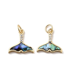 Fish Латунные микро проложить кубического циркония прелести, с ракушкой пауа и эпоксидной смолой, стойки покрытие, долговечный, без свинца и без кадмия, реальный 18 k позолоченный, рыба, 13.5x14x2 мм, отверстие : 3 мм