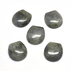 Labradorite Natural Labradorite Cabochons, Oval, 22x20.5x6~7mm