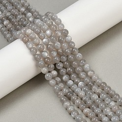 Grey Moonstone Натуральные серые бусины из лунного камня, круглые, 6 мм, отверстие : 0.8 мм, около 64 шт / нитка, 15.55'' (39.5 см)