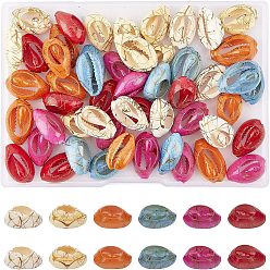Mixed Color Natural Cowrie Shell Beads, No Hole/Undrilled, Dyed and Drawbench, Mixed Color, 18~22x12~14x7~8mm, 6 colors, 10pcs/color, 60pcs/box