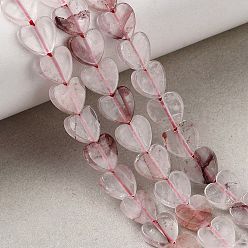 Красный Кварц Натуральный гематоидный кварц / нитки из железистого кварца, сердце, 8x8x2.5 мм, отверстие : 0.6 мм, около 50 шт / нитка, 14.88''~15.12'' (37.8~38.4 см)