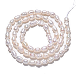 Seashell Color Natural Cultured Freshwater Pearl Beads Strands, Rice, Seashell Color, 4~7.5x3~4mm, Hole: 0.6mm, about 63~64pcs/strand, 13.58 inch(34.5cm)