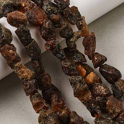 Amber Raw Rough Natural Amber Beads Strands, Nuggets, 10~14x9~12x6~11mm, Hole: 1mm, about 34~39pcs/strand, 15.35''(39~39.5cm)